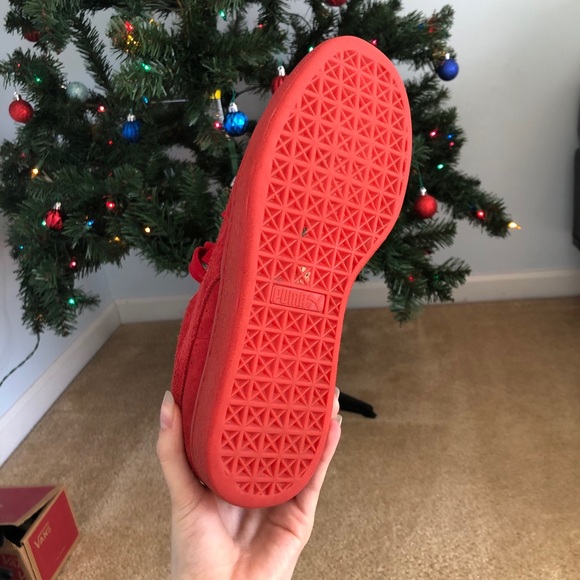 pumas - Picture 5 of 6